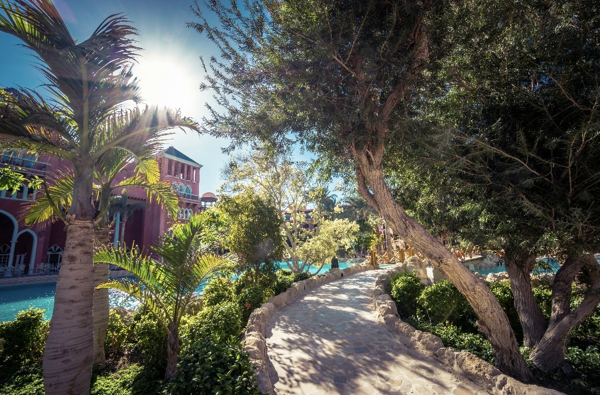 Curving stone walkway lined with palms leading past a pool