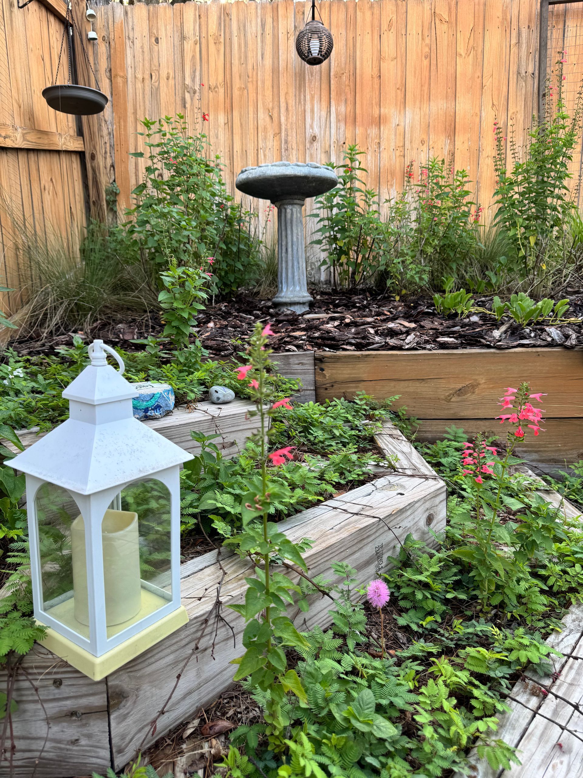 Raised garden beds maintained by Wildscape Designs